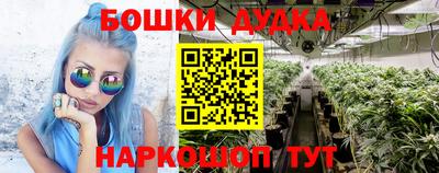 тгк Краснодар