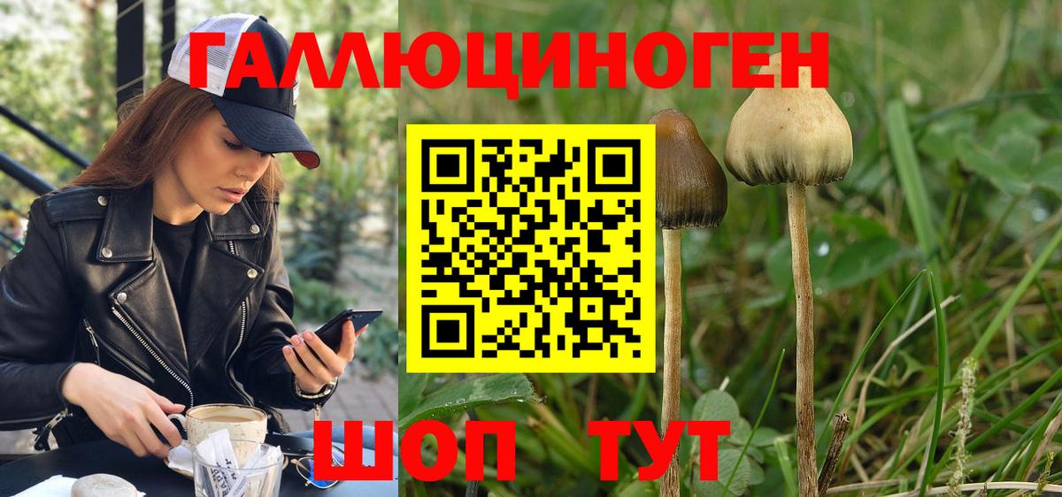 Галлюциногенные грибы мухоморы  Вход с VPN  Качканар  Псилоцибиновые грибы Magic Shrooms 
